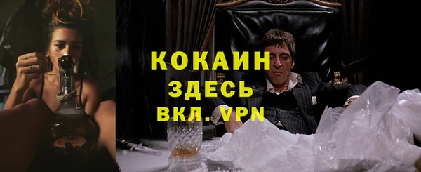 ешки Ладушкин